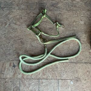 Weaver Lime Green House Harness and Lead Rope